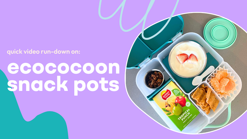 ecococoon snack pots | quick video run-down