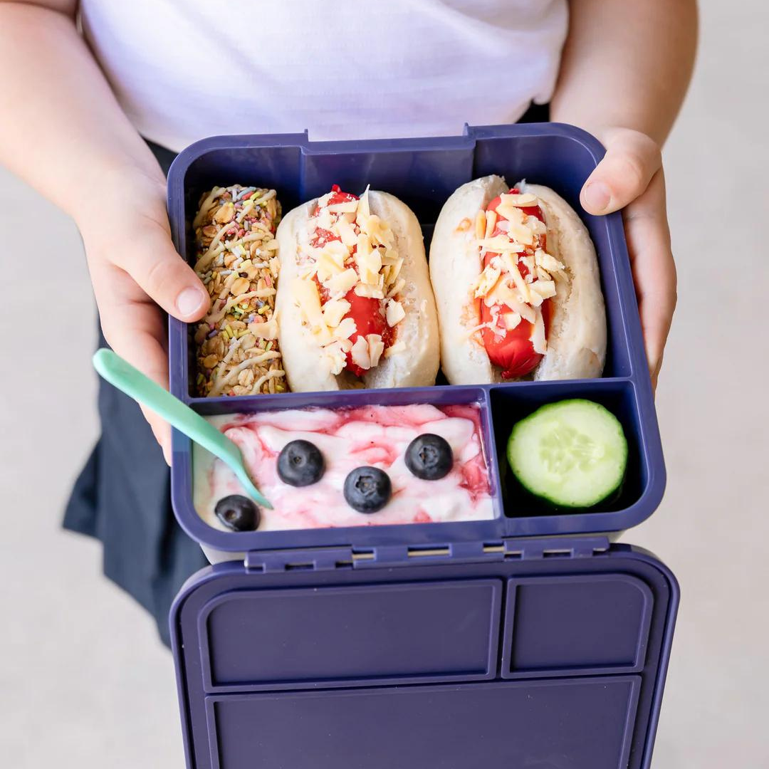 School Lunch Box Ideas - Ecococoon ™