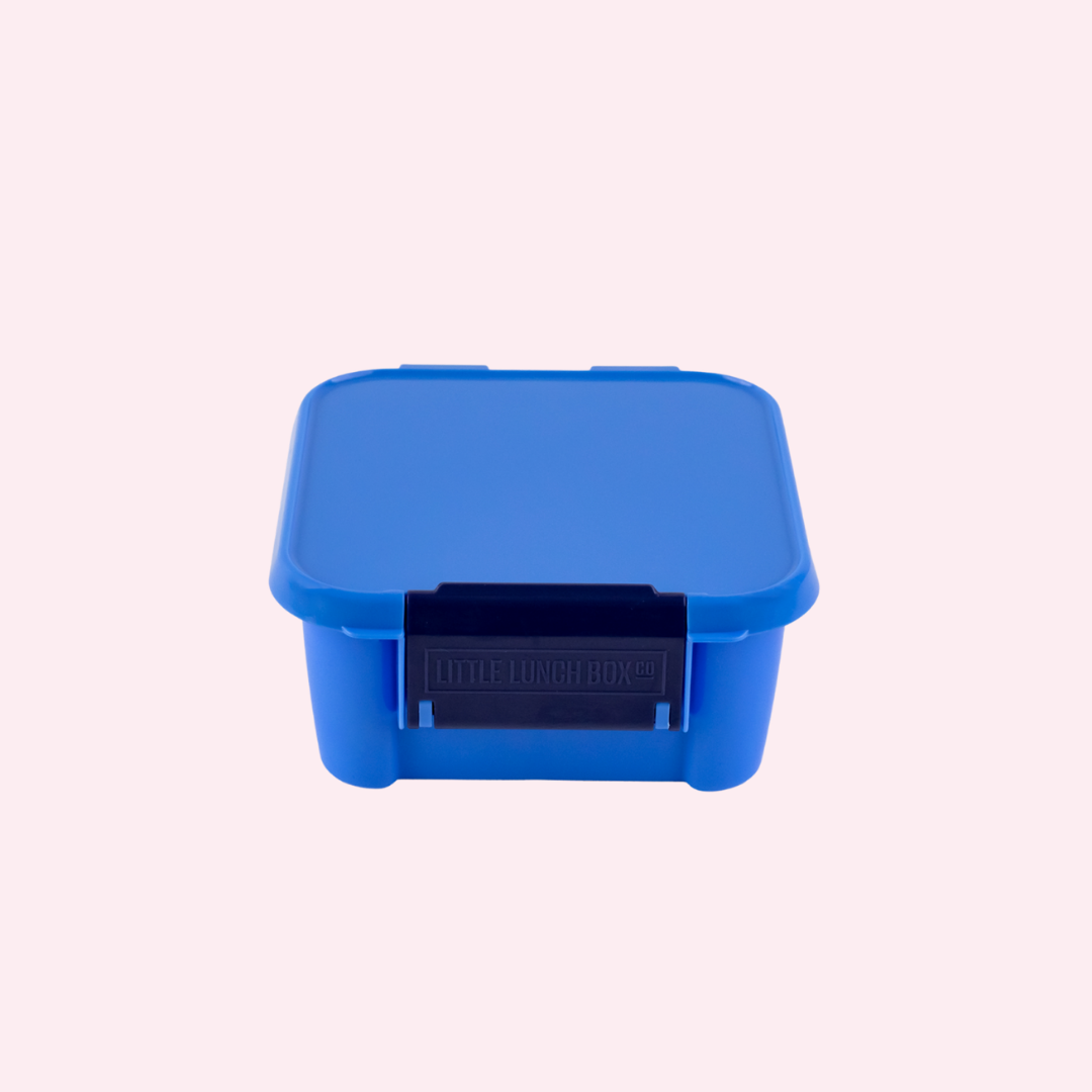 https://www.lunchboxmini.com/cdn/shop/files/BentoTwo-Blueberry_2_1080x.png?v=1689045030