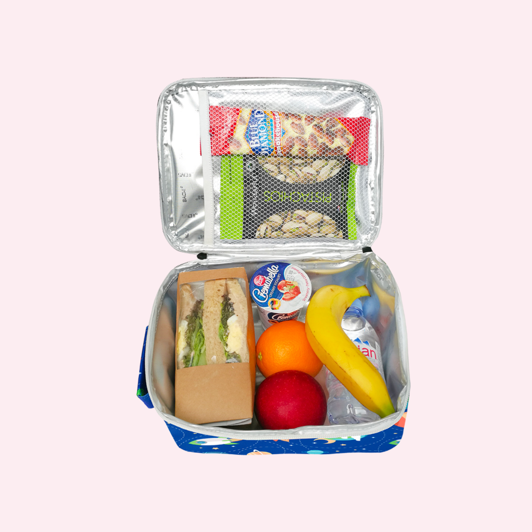 What Lunch Bags Fit BBox Lunch Boxes 2023 