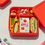 The Zero Waste People BIG Bento Lunchbox - Chilli