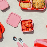 The Zero Waste People Snack Container - Watermelon